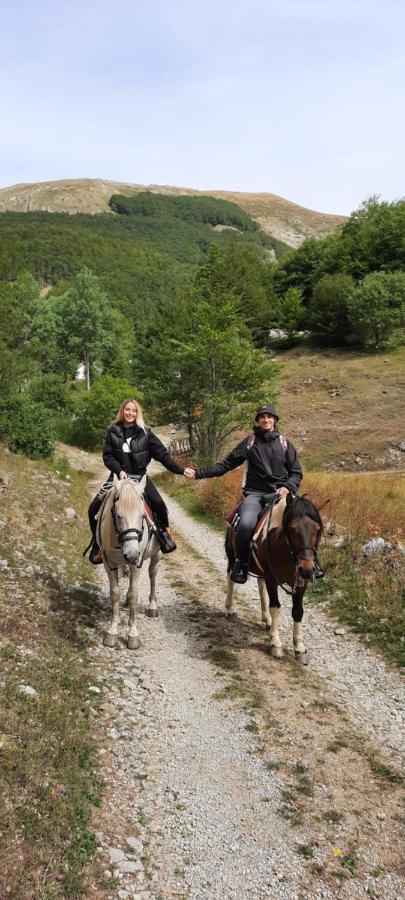 Katun Mokra Accommodation & Horseback Riding Подгорица Экстерьер фото